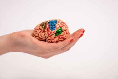 Beyni beyaz, alzheimer hastalıkları konseptine izole edilmiş renkli parçalarla el ele tutuşma görüntüsü. 