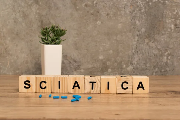 グレーの背景に木製のテーブルの上に植物の近くにSciaticaのレタリングを持つ丸薬とブロック — ストック写真