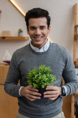 Çiçek saksısıyla gülümseyen ve kameraya bakan işadamlarının önünde.