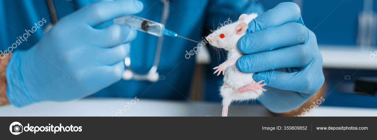 Hamster Latex