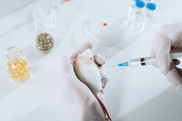 Частковий Вид Ветеринара Латексних Рукавичках Тримає Шприц Біля Білої Миші — стокове фото