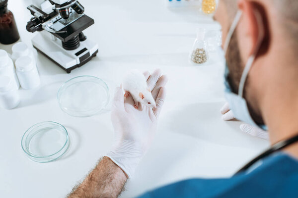 selective focus of veterinarian in medical mask and latex gloves holding white mouse near petri dishes and microscope