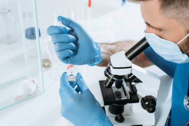 Tıbbi maskeli genç bir biyolog ve şırınga tutan eldivenlerle cam kutunun içindeki beyaz farenin yanında mikroskop kullanarak analiz yapıyor.