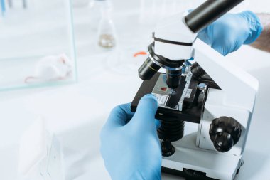 Lastik eldivenli biyolojistin cam kutuda beyaz farenin yanında mikroskop kullanarak analiz yaparken çekilmiş görüntüsü.