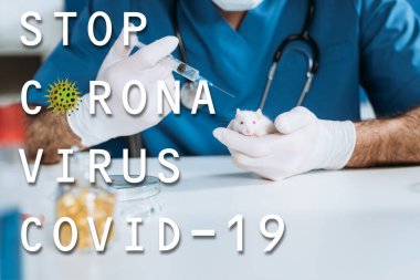 Beyaz farenin yanında aşılı şırınga tutan lateks eldivenli veteriner görüntüsü, Coronavirus illüstrasyonunu durdurun.
