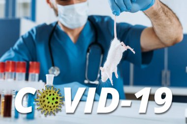 Tıbbi maskeli veteriner ve lateks eldivenli beyaz fareyi test tüplerinin yanında kuyruğundan tutan seçici odak noktası, COVID-19