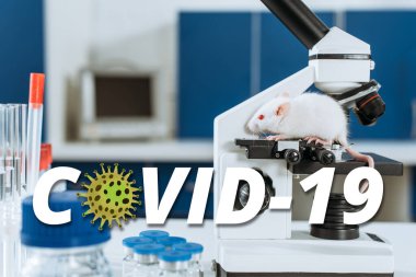 Üzerinde ilaç bulunan test tüpleri ve konteynerlerin yanında mikroskop üzerinde beyaz fare, COVID-19