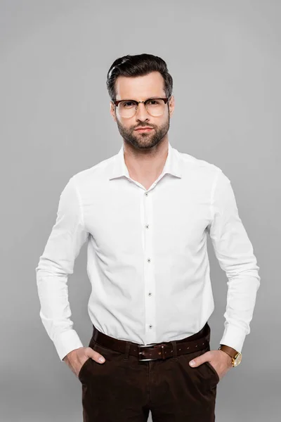 Bearded Businessman Glasses Standing Hands Pockets Isolated Grey — Stock Photo, Image