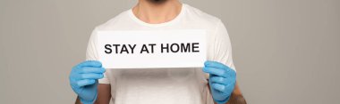 Cropped view of man in latex gloves holding card with stay at home lettering isolated on grey, panoramic shot  clipart
