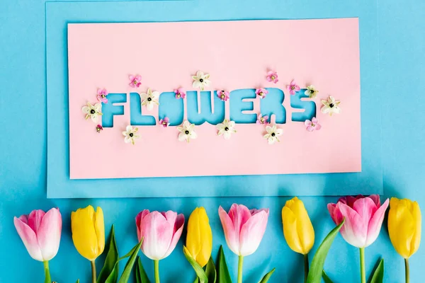 Top View Yellow Pink Tulips Greeting Card Flowers Lettering Blue — Stock Photo, Image