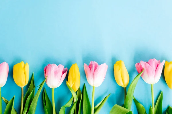 Top View Virágzó Sárga Rózsaszín Tulipán Kék Anyák Napi Koncepció — Stock Fotó