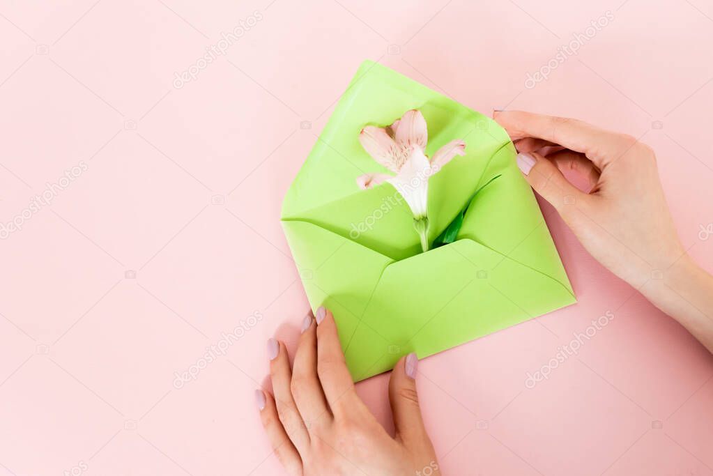 Cropped view of woman holding green envelope with alstroemeria flower on pink, mothers day concept