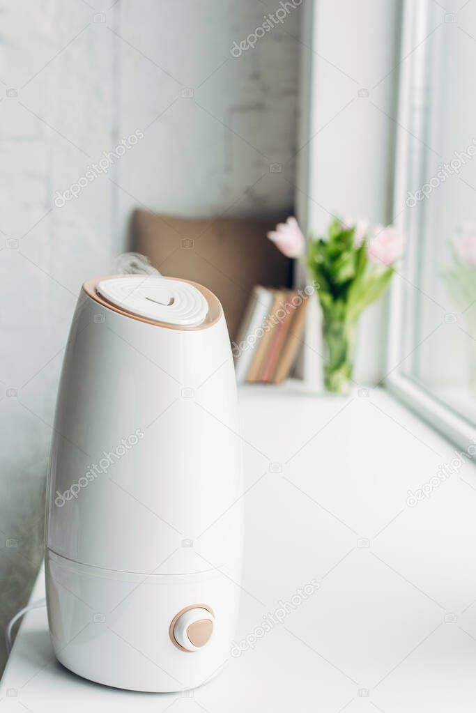 white ultrasonic purifier standing on windowsill with books and flowers 