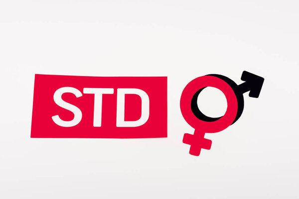 top view of gender symbols near paper with std lettering isolated on white 