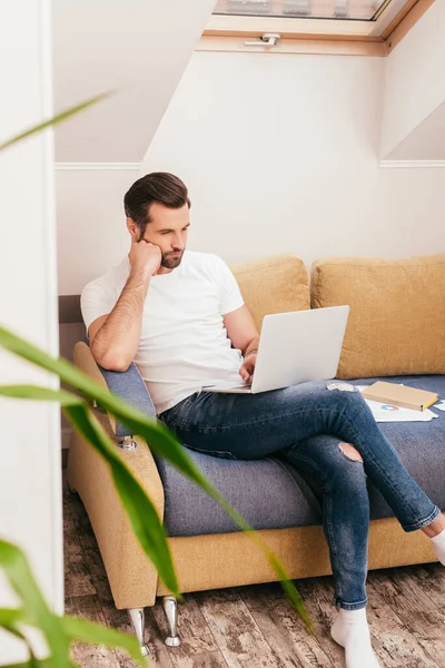 Selective Focus Handsome Teleworker Using Laptop Documents Couch — Stock Photo, Image