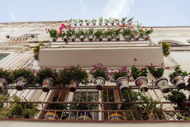 Bottom view of blooming flowers on balcony of house in Catalonia, Spain clipart