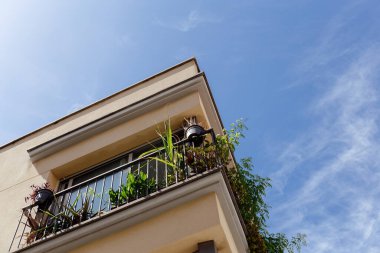 Katalonya, İspanya 'da arka planda mavi gökyüzü olan ev balkonundaki yeşil bitkilerin alçak açılı görüntüsü 