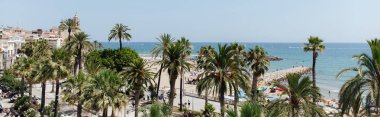 Katalonya, İspanya 'da deniz kıyısında palmiye ağaçlarının panoramik görüntüsü 