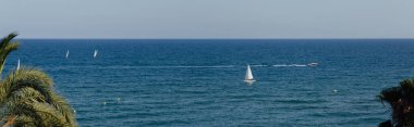Panoramic shot of palm trees on coast and sailboats in sea in Catalonia, Spain clipart