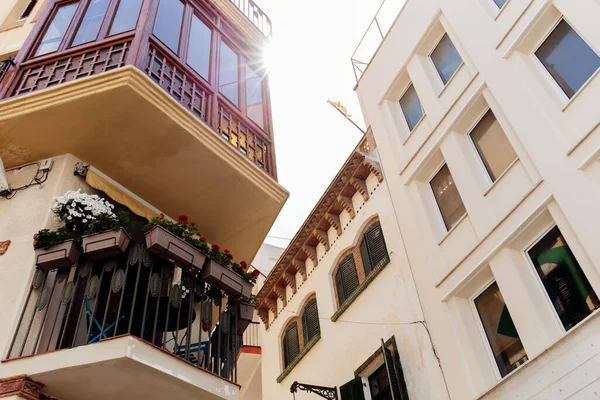 Низкий Угол Обзора Цветущих Цветов Цветочных Горшках Балконе Здания Каталонии — стоковое фото