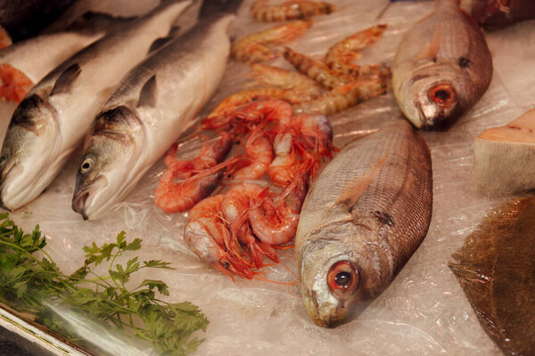 Close up view of raw seafood near greens on ice on shop counter 