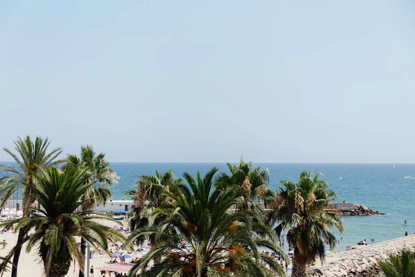 スペインのカタロニアを背景に青い空のヤシの木と海の海岸 — ストック写真