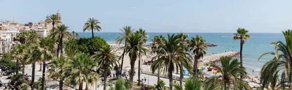 Panoramic Shot Palm Trees Sea Coast Catalonia Spain — Stock Photo, Image