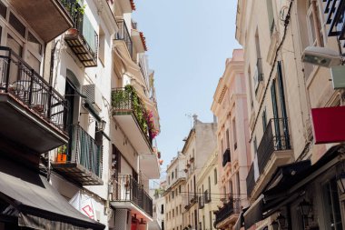 Urban street with sunlight on facade and plants on balcony in Catalonia, Spain  clipart