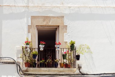 Blooming flowers in flowerpots on balcony of white house in Catalonia, Spain  clipart