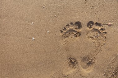Top view of footprints on wet beach sand  clipart