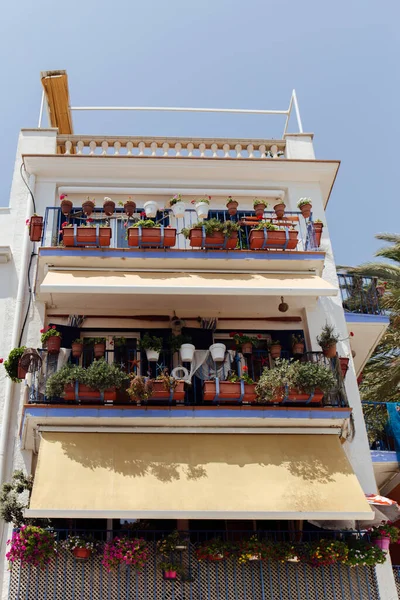 Vista Ángulo Bajo Flores Florecientes Macetas Casa Balcón Con Cielo — Foto de Stock