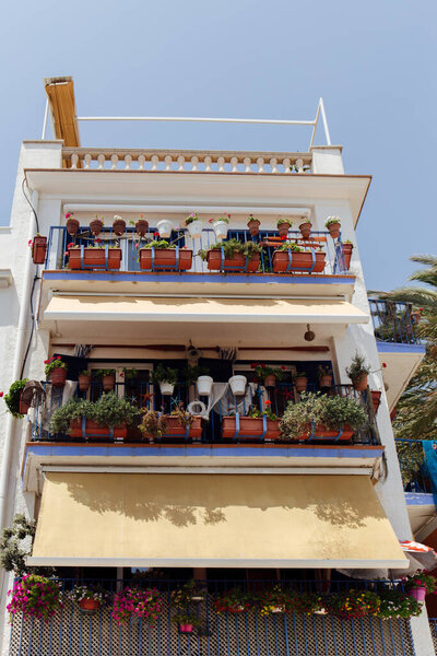 Low angle view of blooming flowers in flowerpots on house balcony with blue sky at background in Catalonia