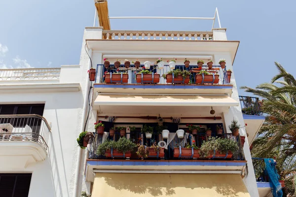 Vista Ángulo Bajo Plantas Macetas Balcón Casa Con Cielo Azul — Foto de Stock