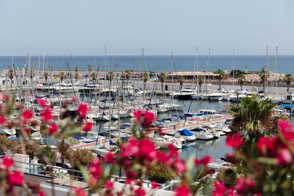 CATALONIA, SPAIN - APRIL 30, 2020: Selective focus of yachts near pier and blooming plant on sea coast 