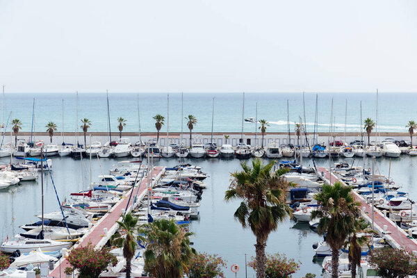 CATALONIA, SPAIN - APRIL 30, 2020: Palm trees near yachts in port with sea and clear sky at background 