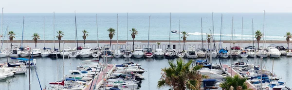 Catalonia Spagna Aprile 2020 Palme Vicino Yacht Porto Con Paesaggio — Foto Stock