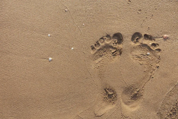 Vue Dessus Des Empreintes Pas Sur Sable Plage Humide — Photo