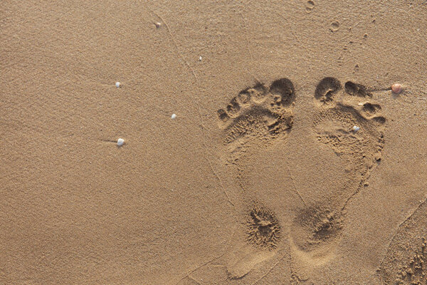 Top view of footprints on wet beach sand 