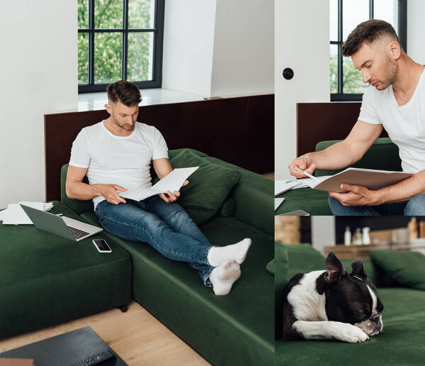 collage of freelancer holding folders near gadgets and french bulldog lying on sofa