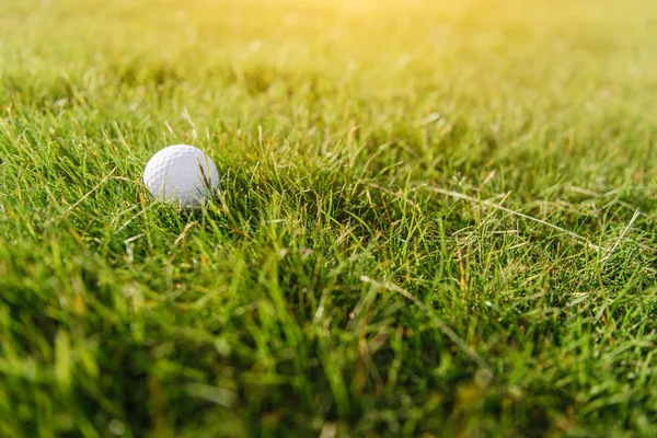 Pelota de golf en la hierba - foto de stock