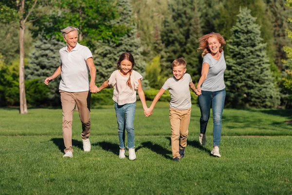 Familia corriendo en el prado - foto de stock