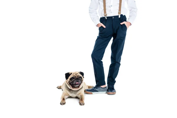 Stylish boy with dog — Stock Photo