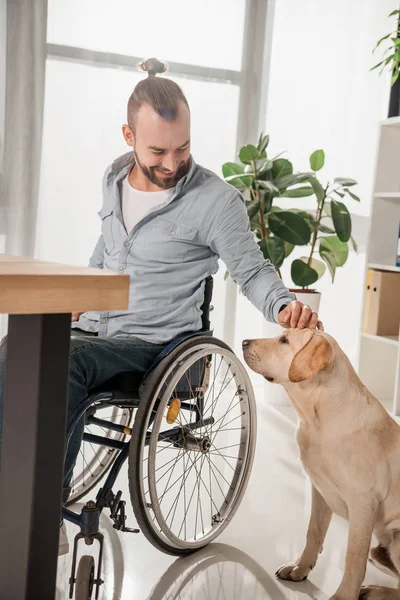 Hombre en silla de ruedas acariciando a su perro - foto de stock