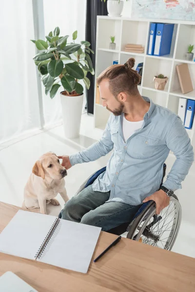 Человек в инвалидном кресле ласкает свою собаку — стоковое фото