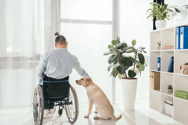 Disabili — Foto stock