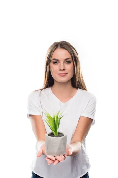 Дівчина тримає горшкову рослину — стокове фото
