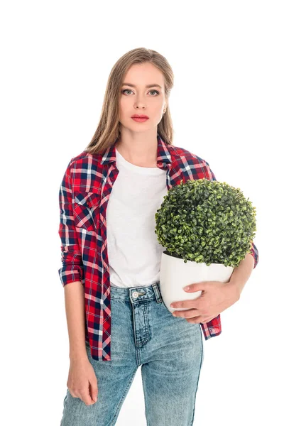 Girl with green plant in pot — Stock Photo
