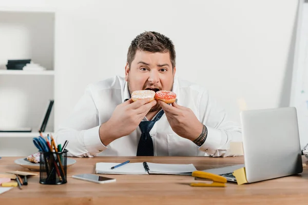 Hombre de negocios con sobrepeso comiendo donas en el lugar de trabajo con computadora portátil - foto de stock