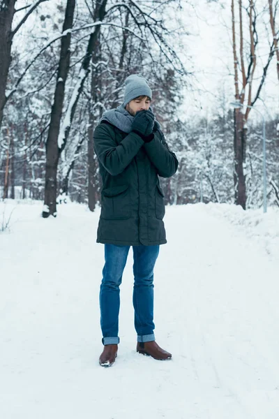 Hombre joven calentando las manos mientras camina en el parque nevado - foto de stock