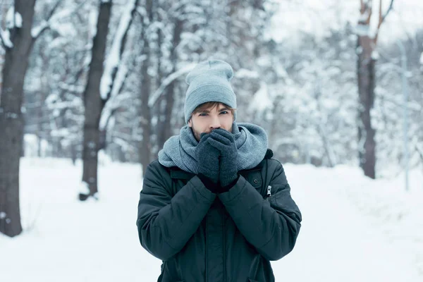 Retrato de homem jovem aquecendo as mãos para cima enquanto caminhava no parque nevado — Fotografia de Stock